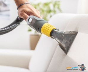 افضل شركات مكافحة حشرات بالاحساء