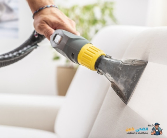 افضل شركات مكافحة حشرات بالاحساء